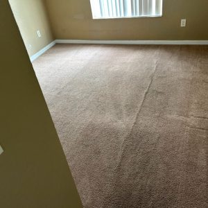 Carpet clean after.jpg